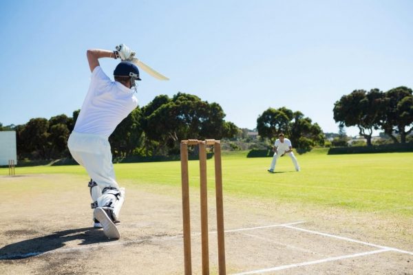 The results of world cricket cup